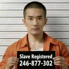 246-877-302 profile image