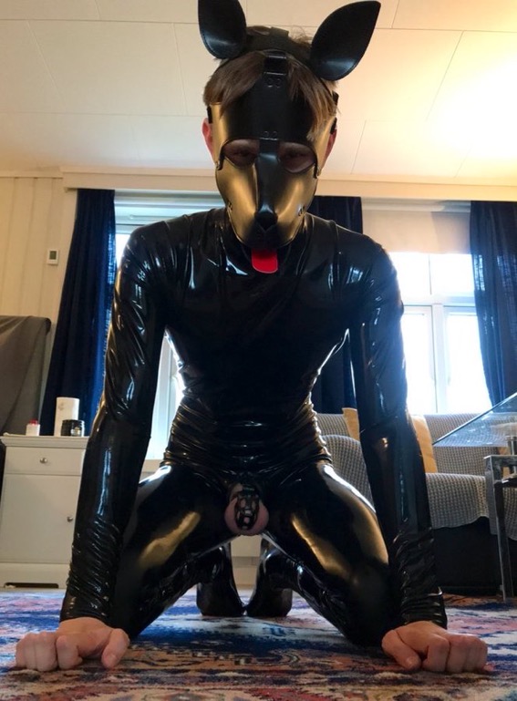 Pupfido profile image