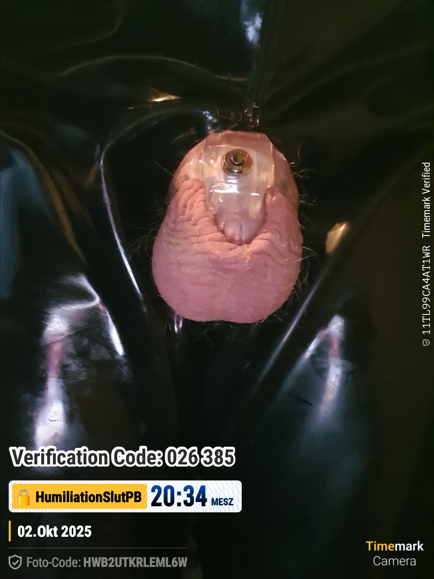 Gaylockslave profile image
