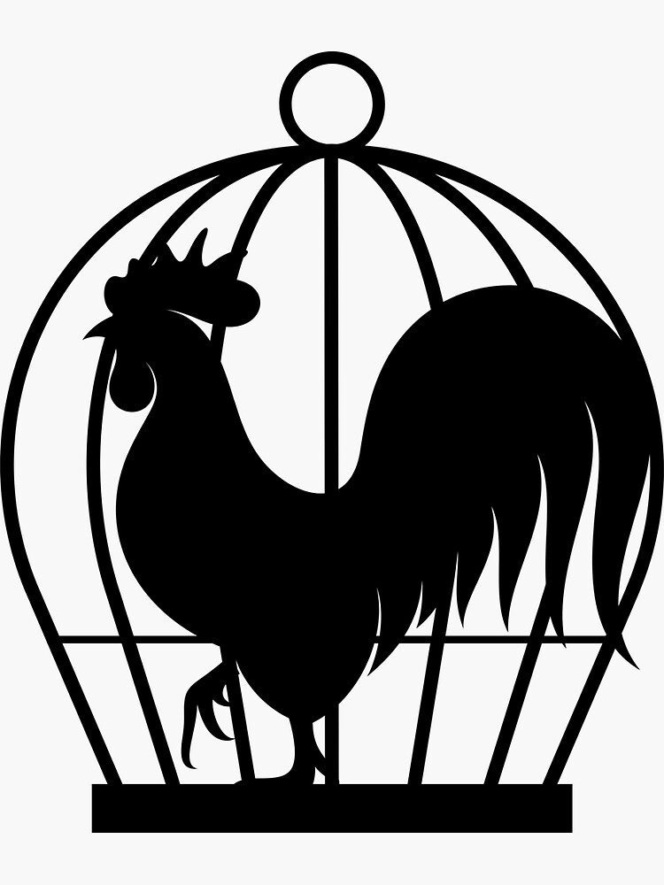 Curious profile image